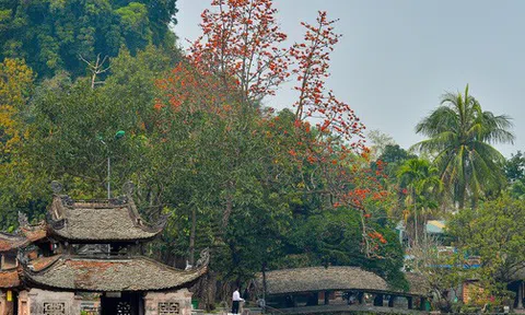 Ảnh: Tháng 3, ngắm hoa gạo nở đỏ rực bên trong ngôi chùa nghìn năm tuổi ở Hà Nội