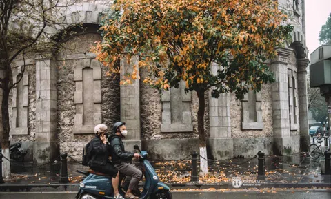 Hà Nội đẹp mơ màng trong những ngày tháng 3 khi lộc vừng thay lá