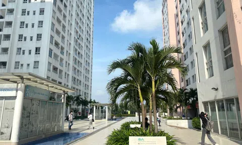 TP HCM: 50.000 tỉ đồng phát triển nhà ở xã hội, xây lại chung cư cũ trong 5 năm