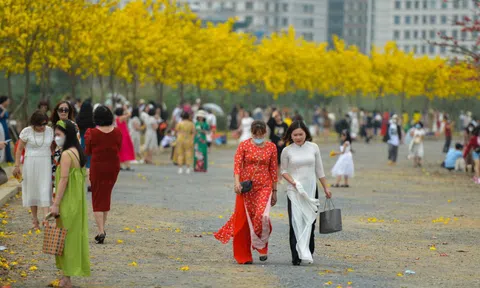 Hà Nội: Dừng đón khách vào đường hoa phong linh đẹp như trời Âu