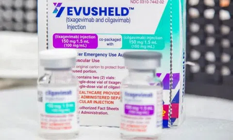 Bộ Y tế: EVUSHELD không phải là "siêu vaccine" để dự phòng COVID-19