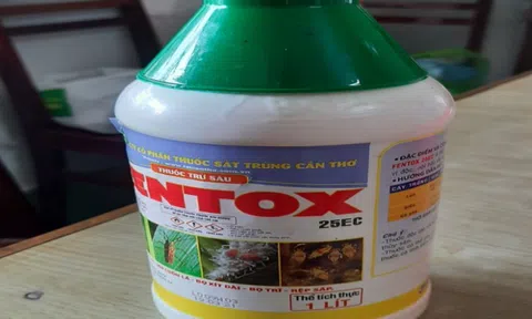 NÓNG: Bé trai 6 tuổi bị bố đẻ đầu độc ở Cần Thơ