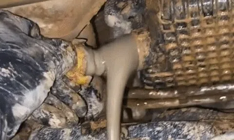 Dầu động cơ chiếc xe Ford đặc như cà phê sữaicon