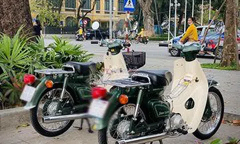 41 năm tuổi, cặp đôi Honda Cub 81 vẫn có giá 300 triệu