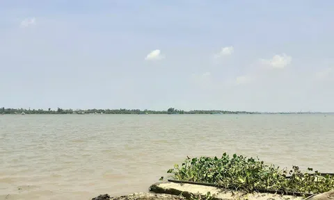 Hủy kết quả đấu giá mỏ cát 2.811 tỉ đồng trên sông Tiền
