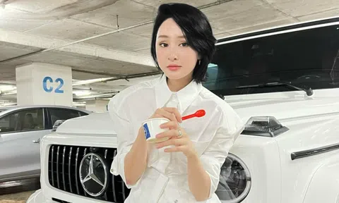 Hiền Hồ và loạt thị phi để đời