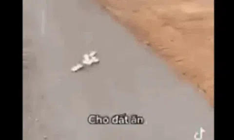 Xôn xao clip thanh niên ngồi trên ôtô rải nhiều cọc tiền xuống đất