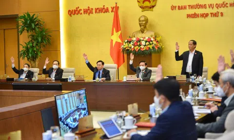 Trúng đấu giá đất rồi bỏ cọc: Cần có chế tài đủ mạnh