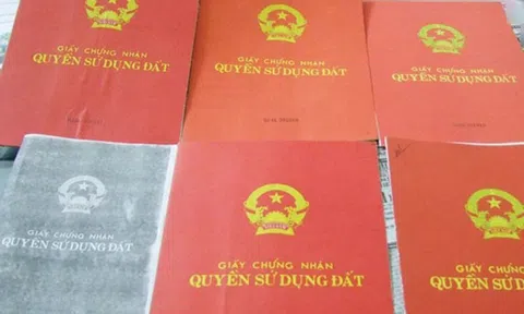 Bắt 2 đối tượng lừa bán đất để chiếm đoạt tiền tỷ