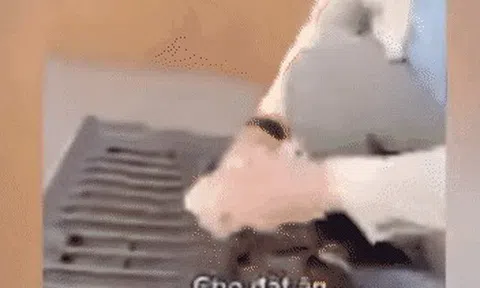 Danh tính nam thanh niên ngồi trên xe ô tô ném nhiều cọc tiền xuống đất nói "cho cá ăn nè"