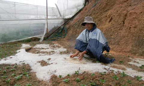 Đà Lạt xuất hiện mưa đá lớn chưa từng có