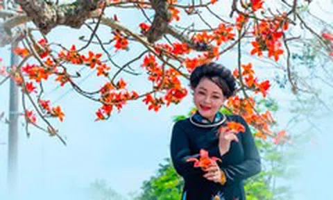 Trà My đẹp nao lòng với mùa hoa gạo tháng 3