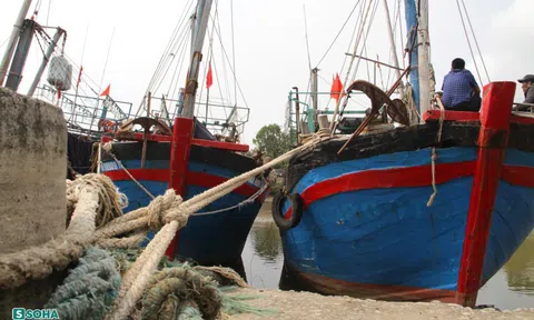 Hàng loạt tàu cá nằm bờ cả tháng vì giá xăng dầu tăng, nhiều ngư dân lên mạng rao bán tàu