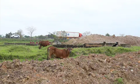 Cao tốc Bắc - Nam ì ạch tiến độ: Cơ quan quản lý, giám sát dự án yếu kém