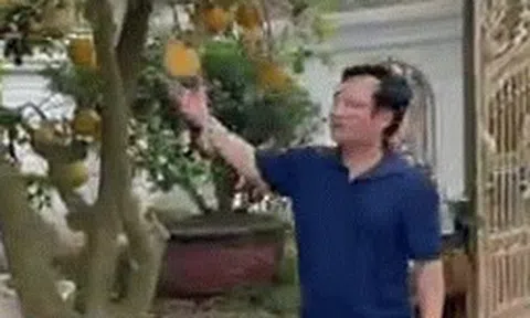 Quang Tèo khoe vườn cây giá trị trong biệt thư tiền tỷ mới xây
