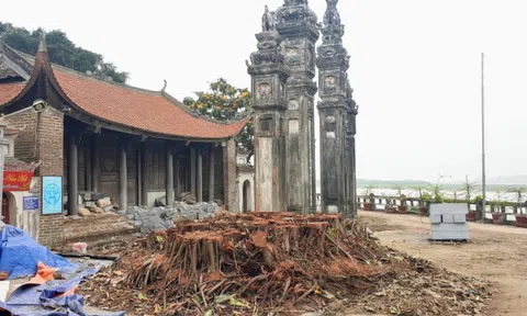 Di tích cấp quốc gia kêu cứu khắp nơi: Ứng xử đúng với di sản thể hiện sự văn minh