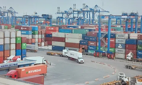 2 ngày thu phí cảng biển ở TP HCM đạt gần 13 tỉ đồng