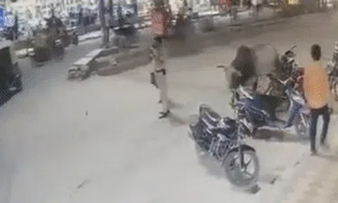 'Cắm mặt' vào điện thoại, cảnh sát giao thông bị bò húc đau điếngicon