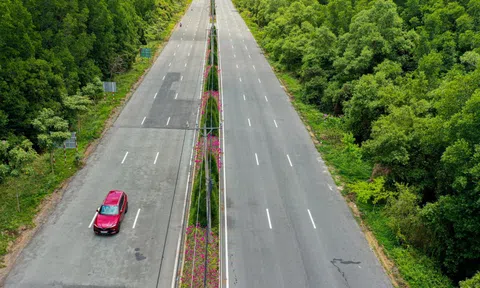 Con đường 1.400 tỷ xuyên rừng ngập mặn, đẹp quên lối về ở TP.HCM