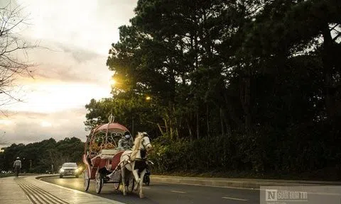 Lâm Đồng: Ban hành bộ quy tắc ứng xử văn hoá người Đà Lạt