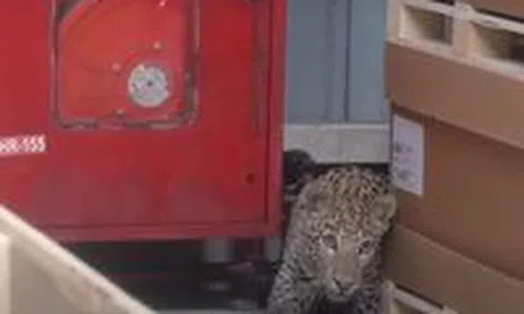 Nhà máy Mercedes-Benz ngừng hoạt động vì lý do không ai ngờ tớiicon