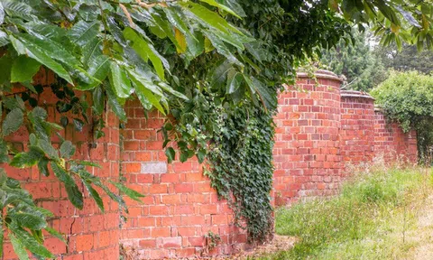 Nhìn tưởng tốn kém, thực tế bức tường này ít gạch hơn so với bức tường thẳng