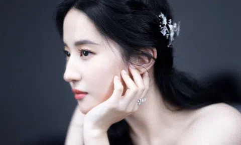 Nhan sắc ‘thần tiên tỉ tỉ’ Lưu Diệc Phi qua thời gian