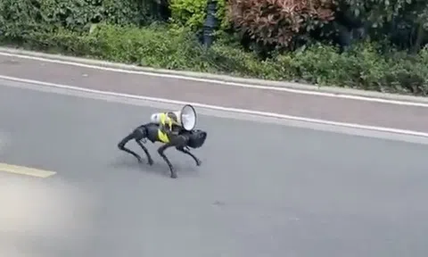 Chó máy vác loa lang thang trên phố Thượng Hải, 'sủa' nhắc người dân ở yên trong nhà