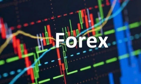 “Đầu tư trên sàn giao dịch Forex là mang tiền cho kẻ lừa đảo”