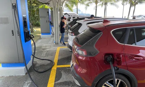 Hơn 500 ô tô điện VinFast VF e34 đã bàn giao đến khách hàng