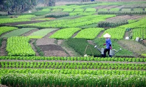 Nông nghiệp xanh sẽ chi phối thị trường nông sản toàn cầu