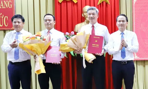 Phó trưởng ban Tổ chức Thành ủy Đà Nẵng xin nghỉ hưu trước tuổi