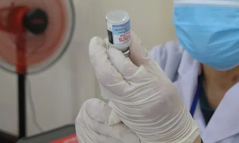 Khánh Hòa: Hơn 123.000 trẻ từ 5 đến dưới 12 tuổi sẽ được tiêm vắc-xin phòng Covid-19