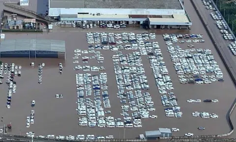 Hàng trăm xe Toyota chưa lăn bánh đã bị ngập nước, nguy cơ thiếu xe để bán