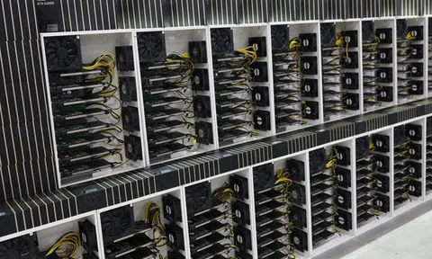 Nhà bán lẻ Việt Nam sử dụng card đồ họa làm việc văn phòng để đào coin