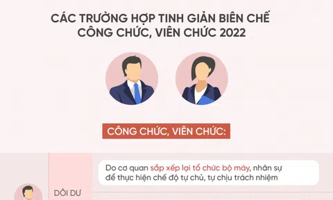 Các trường hợp tinh giản biên chế công chức, viên chức 2022