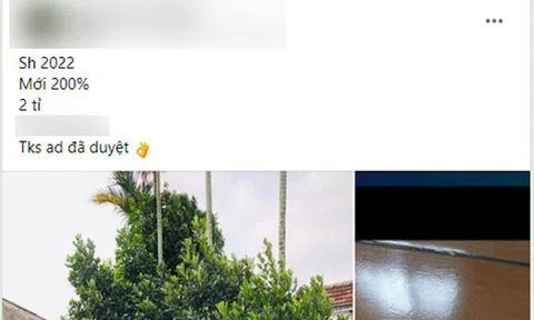 Ra giá 2 tỷ đồng vì bốc được biển ngũ quý 666.66, chủ xe Honda SH được CĐM tiếp lời: "Xe này phải 6 tỷ đồng mới đúng"