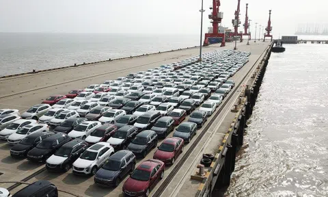 8.000 ô tô xuất khẩu sang Nga đang mắc kẹt tại cảng