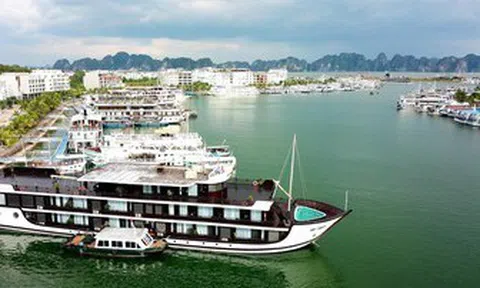Quảng Ninh không cấp phép hơn 170 tàu du lịch