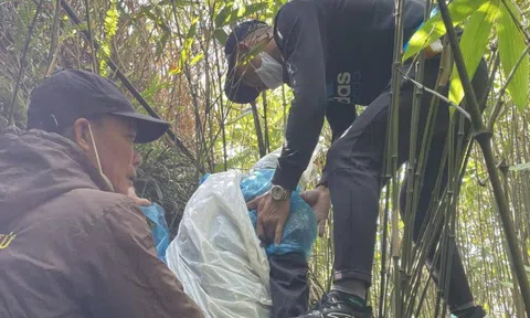 1 phụ nữ sống sót sau 7 ngày ngã xuống vực sâu Yên Tử, ăn rau dại cầm hơi