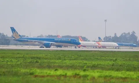 Tăng cường kiểm soát, xua đuổi chim tại các sân bay