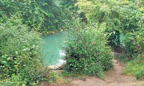 Bạn gái chìm dưới khe nước, nam sinh nhảy xuống cứu thì cả 2 đuối nước thương tâm