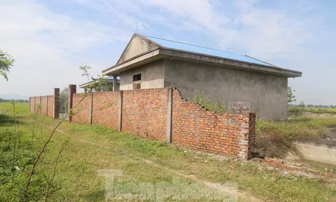 Nhà máy nước gần 20 tỷ đồng ở Nghệ An bị bỏ hoang, cỏ dại um tùm