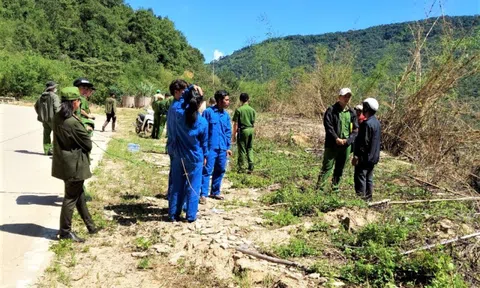 Tạm giữ đối tượng cầm đầu phá rừng mang theo súng đạn, đi xe biển số nước ngoài