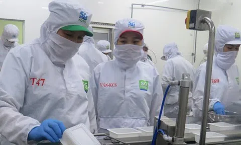 Ồ ạt rút BHXH một lần: Lấp khoảng trống lương hưu, cách nào?