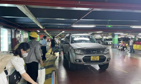 Tiến sĩ Lê Đăng Doanh bị "làm giá" ở Tân Sơn Nhất: Sở GTVT TP HCM ra công văn khẩn