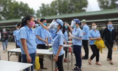 Nhiều địa phương xem xét chi tiền hỗ trợ thuê nhà cho người lao động