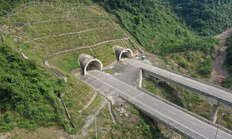 Đề xuất cho kiểm lâm đi xe máy trên đường cao tốc để bảo vệ rừng Bạch Mã