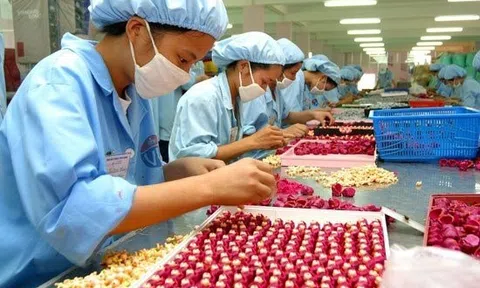 Hướng dẫn về chính sách thuế áp dụng đối với doanh nghiệp chế xuất