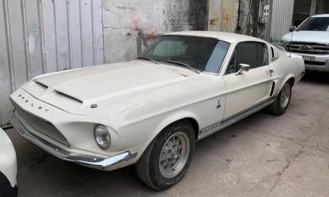 Xe độc Ford Shelby Cobra GT500 đời 1968 tại Việt Nam